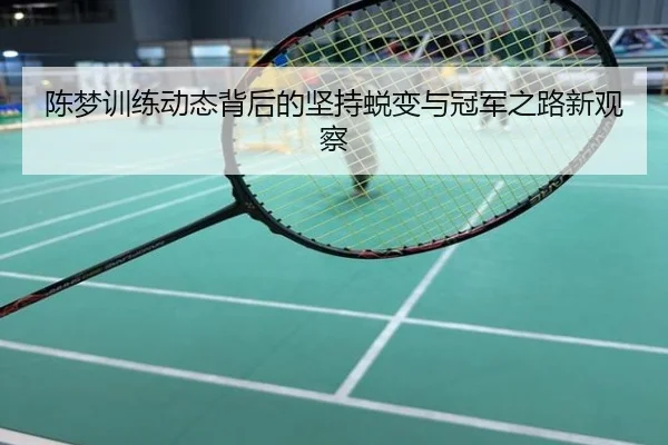 陈梦训练动态背后的坚持蜕变与冠军之路新观察