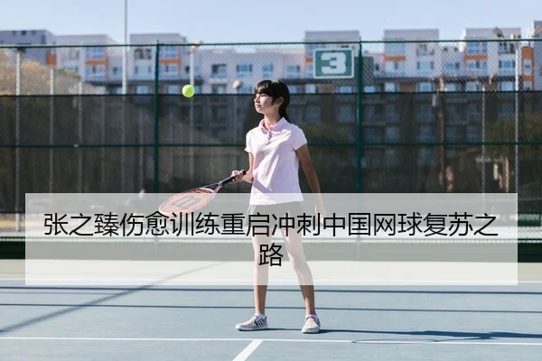 张之臻伤愈训练重启冲刺中国网球复苏之路